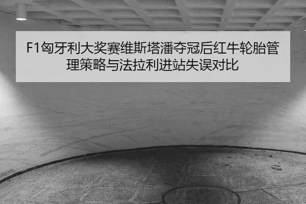 xiong-ya-li-da-jiang-sai-wei-si-ta-pan-duo-guan-hou-hong-niu-lun-tai-guan-li-ce-lve-yu-fa-la-li-jin-zhan-shi-wu-dui-bi-1-972.jpg